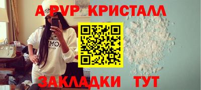 спиды Бердск