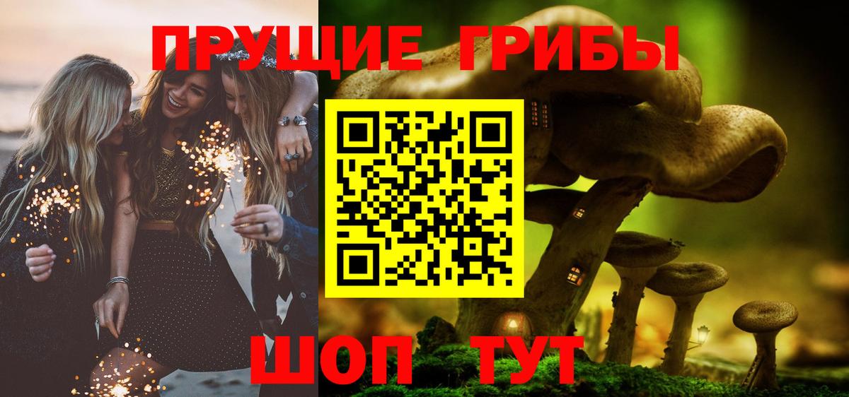 Галлюциногенные грибы прущие грибы Зерноград